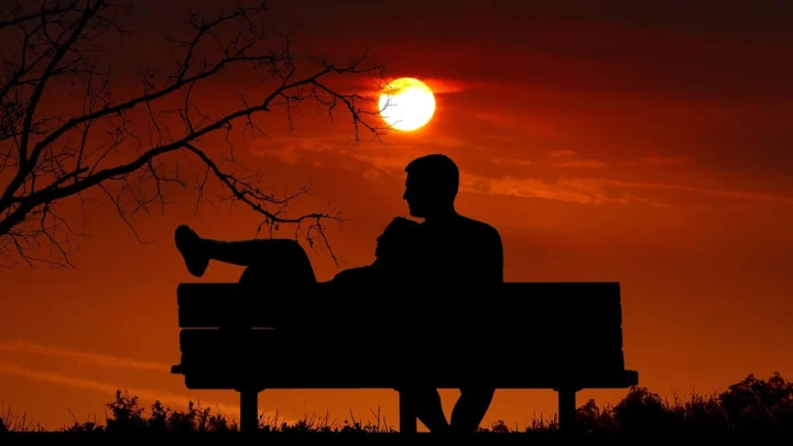 Entenda o eHarmony: o que é, como funciona e seus benefícios